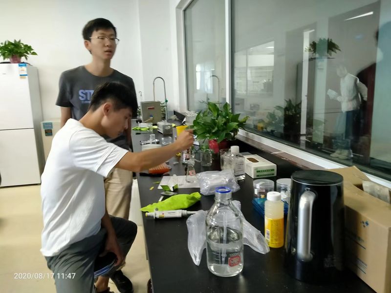Shaanxi Baisifu Biological Engineering Co., Ltd. สายการผลิตของโรงงาน