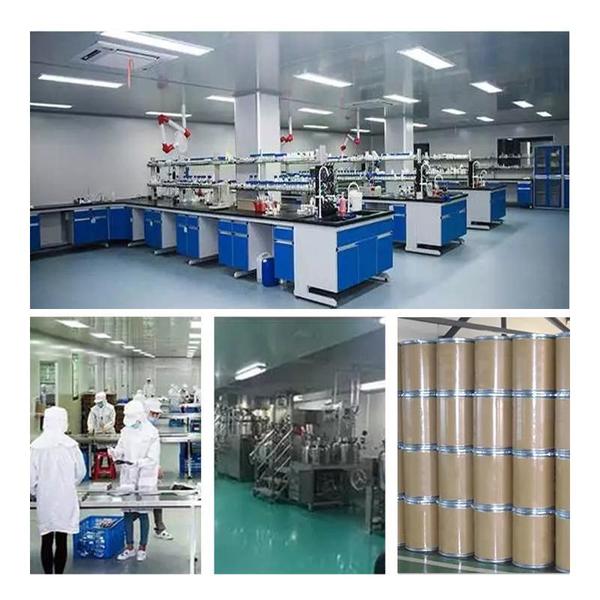 ประเทศจีน Shaanxi Baisifu Biological Engineering Co., Ltd. รายละเอียด บริษัท