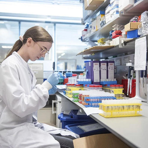 Shaanxi Baisifu Biological Engineering Co., Ltd. สายการผลิตของโรงงาน