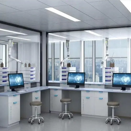 Shaanxi Baisifu Biological Engineering Co., Ltd. สายการผลิตของโรงงาน