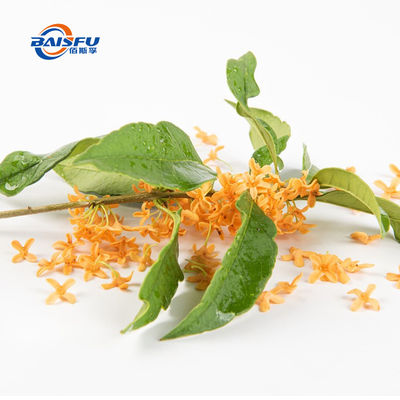 Organic Jasmine Tea Concentrated Liquid Food Ingredient For Health Products