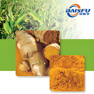 Supply 10-20g free sample Natural ginger root extract 6-Shogaol CAS NO.555-66-8 with free simple