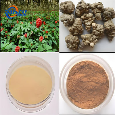 Food Grade Notoginsenoside Ft1 and Cold Temperature Storage with No Light CAS NO.155683-00-4