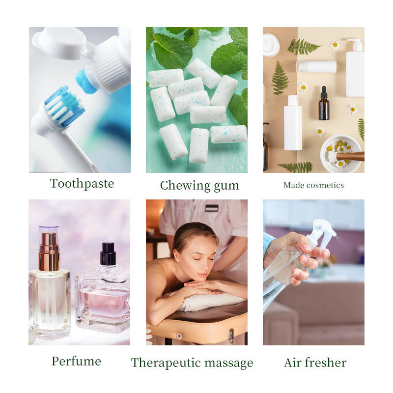 Long-Lasting Flavor and Fragrance L-Monomenthyl Glutarate CAS 220621-22-7