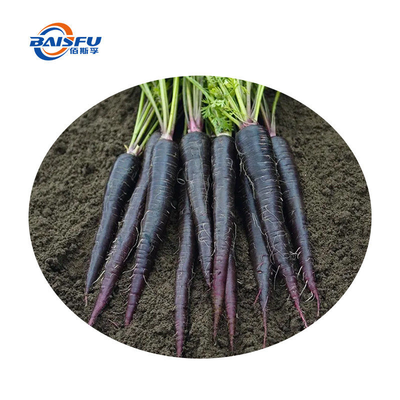 Natural Pigment Purple Carrot Color Extract for Food Additives