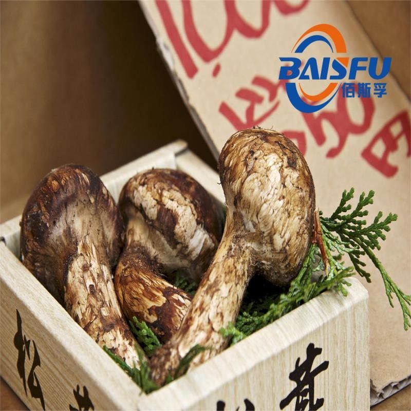 Artificial Saline Taste Flavoring for Tricholoma Matsutake Essence