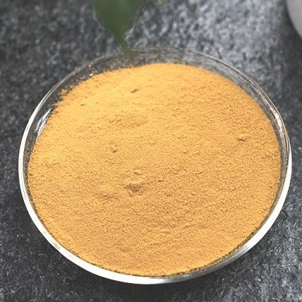 Discover the Versatility of Freeze Dried Qianjiangyuan Black Tea Powder for Beverages