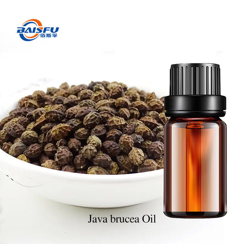 Java Brucea Oil CAS 41451-75-6 for Identification and Pharmacological Experiments