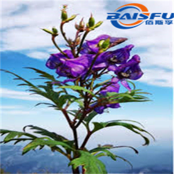 Baisfu Top Quality Ranaconitine 98% Hot Selling with Competitive Price