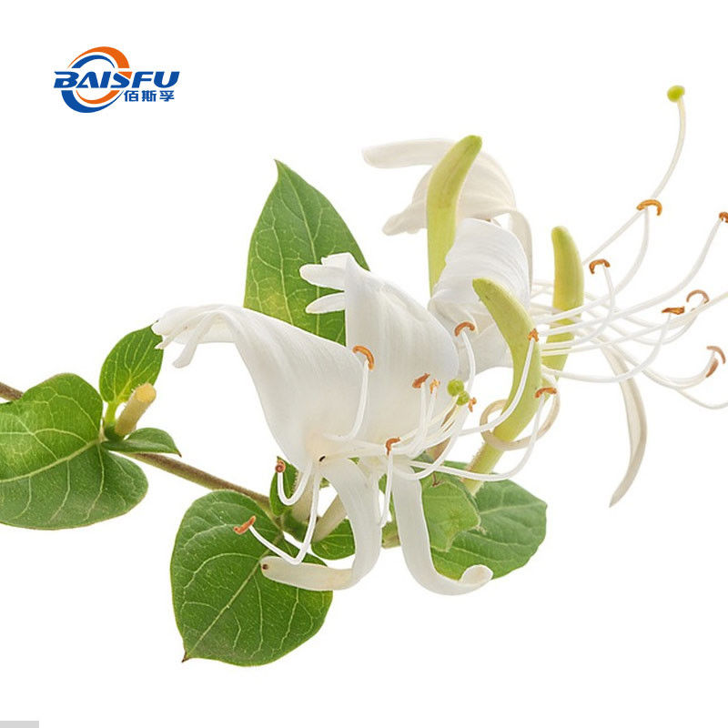 Baisfu plant extract powder High Quality HoneySuchle Flowers Extract Cas: 327-97-9 Chlorogenic Acid, P.E. Honeysuckle Essence Powder / Liquid used in food additive