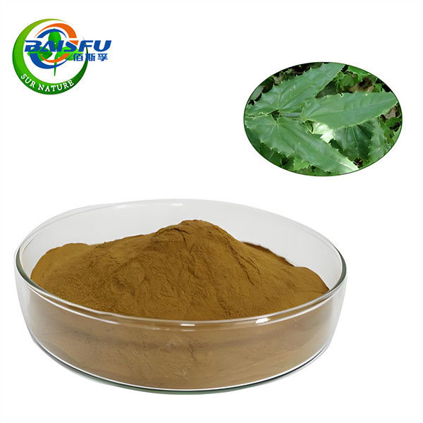 Highly Concentrated 99% Horny Goat Weed Extract Plant Extract Purple Black Powder
