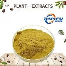 Baisfu plant extract powder 90% light yellow powder Best selling  supply Gynostemma tea Bags used in food additive