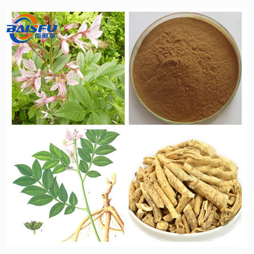 Baisfu Good price Plant Extract yellow brown powder 80 dots Densefruit Pittany Root-Bark Extract use in cosmetics and medicine