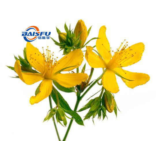 Baisfu Brown Powder Natural St. John'S Wort Extract CAS NO: 118-34-3