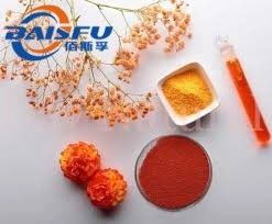 Baisfu plant powder 98% Lutein esters Hot Selling - Get Your Favorite Price Here With Low MOQ