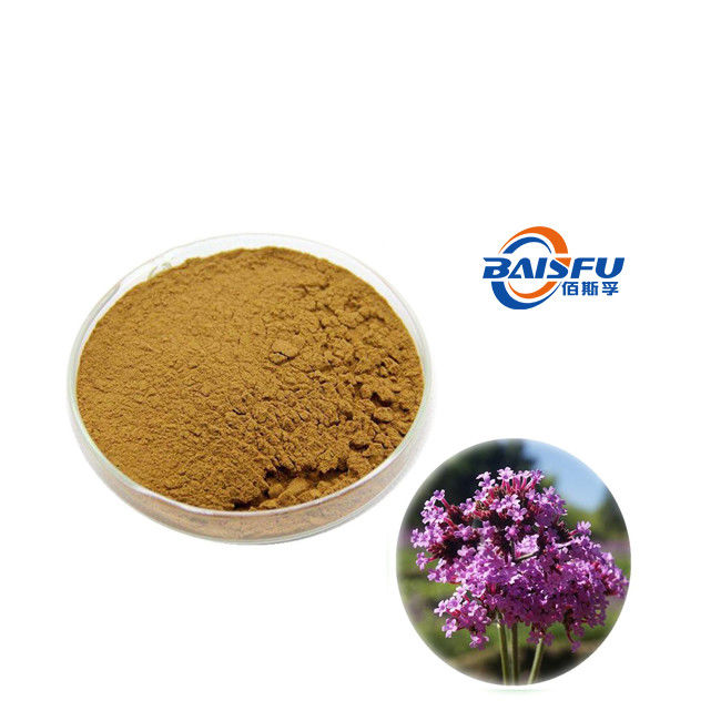 baisfu brown powder Best Herba Verbenae.P.E Hot Selling Ratio 4:1 ~ 20:1