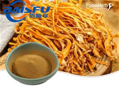 Shaanxi Baisfu herbal plant extract Brown yellow fine powder Cordyceps Militaris powder CAS No.: 73-03-0 Food Grade