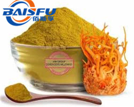 Shaanxi Baisfu herbal plant extract Brown yellow fine powder Cordyceps Militaris powder CAS No.: 73-03-0 Food Grade