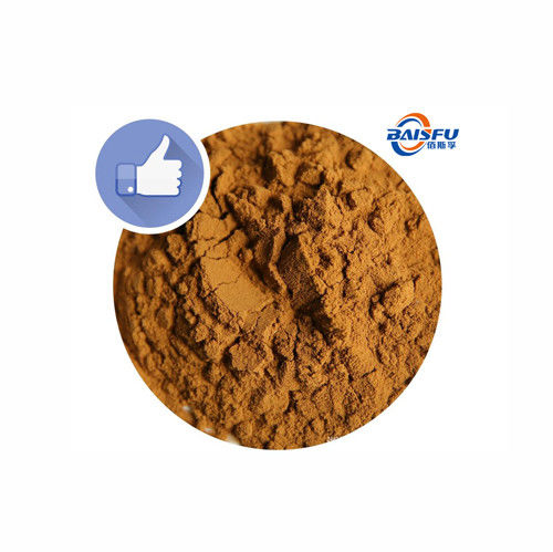 Baisfu Brown Powder Grape Seed Extract Free Samples, High Quality Grape Seed Extract Powder Specifications 95%