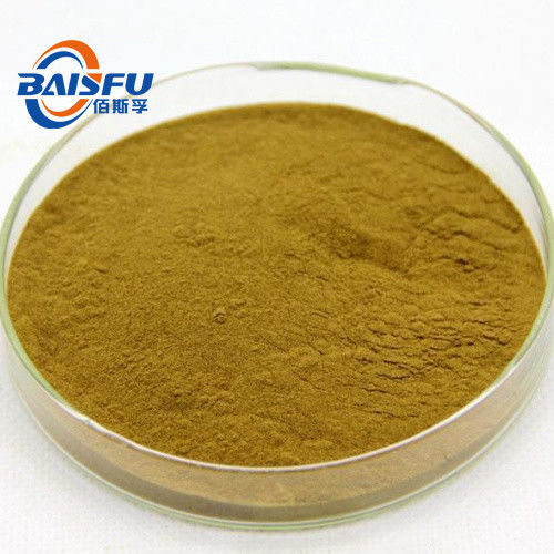 Baisfu Brown Yellow Powder Best Quality Of Dutchmanspipe Fruit.P.E Specification 5:1 10:1 20:1
