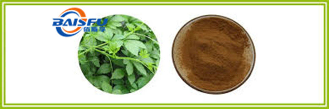 Shaanxi Baisfu plant extract Brown powder 98% Through 80 mesh Gynostemma Extract Food Grade