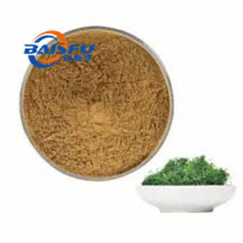 Shaanxi Baisfu plant extract Brown powder gypenoside 80% 98%, Gynostemma P.E.Food Grade