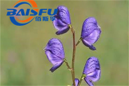 Shaanxi Baisfu plant extract White Powder 100% Natural Ranaconitine CAS No.: 1360-76-5HPLC Food Grade