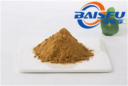Shaanxi Baisfu plant extract  Yellow Brown powder Semen Myristicae Extract
