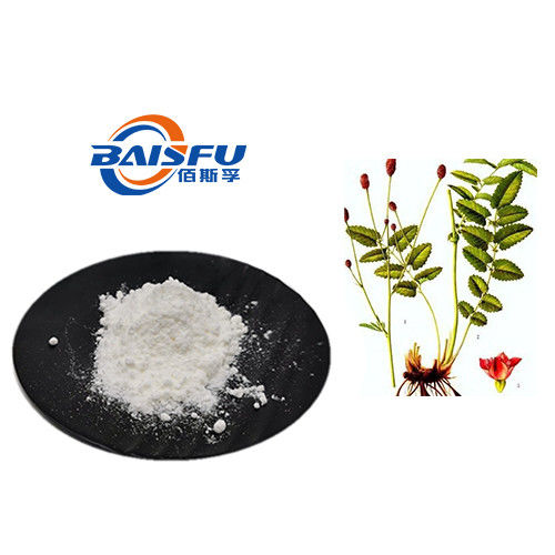 Baisfu White Fine Powder Factory Bulk Supply Natural High Quality 98% Ziyuglycoside I CAS NO.35286-58-9