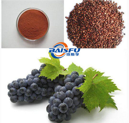 Baisfu Brown Powder High Quality Procyanidin B2, Hot Sell 98% Procyanidin B2 CAS. 29106-49-8