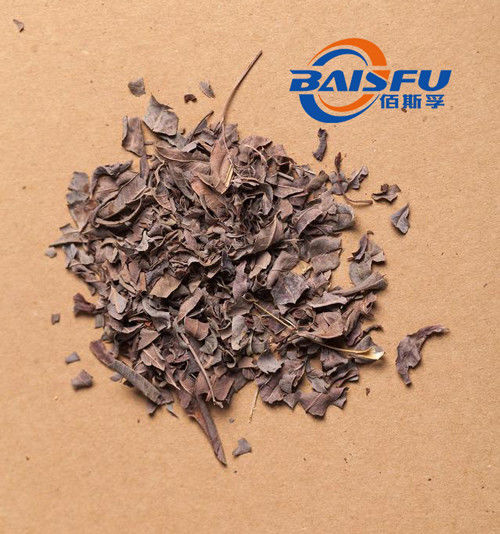 Baisfu White Powder High Quality Isoquercitrin, Hot Sell 98% Isoquercitrin CAS. 21637-25-2