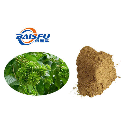 Baisfu Brown Powder Wholesales Factory High Quality Natural Olive Leaf Extract Camptothecin CAS NO.7689-03-4