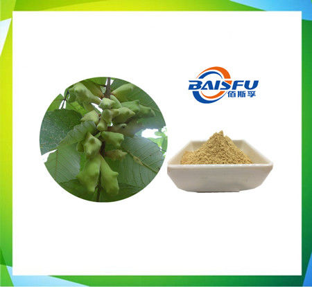 Baisfu Brown Fine Powder Factory Bulk Supply Natural High Quality 98% Tannic Acid Cas No.1401-55-4