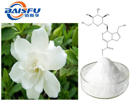 Baisfu High Quality Geniposide White Powder, Hot Sell 98% Geniposide CAS. 24512-63-8