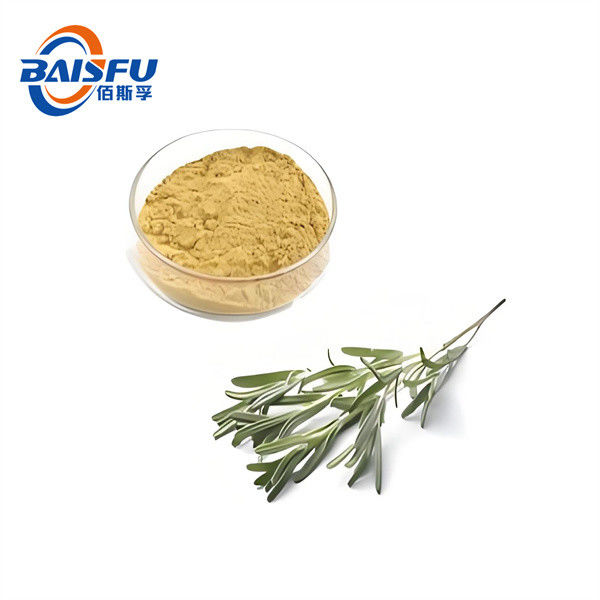 White Powder High Quality Hot Selling Organic Nature Rosmarinic acid CAS NO. 20283-92-5