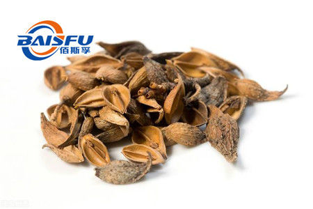 Baisfu High Quality Top Grade Wholesale White Powder Phillygenin, Hot Sell 98% Phillygenin Cas. 487-39-8