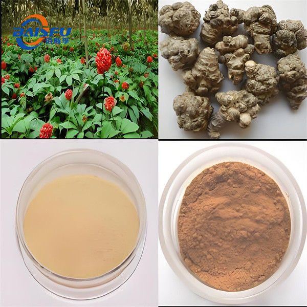 Food Grade Notoginsenoside Ft1 and Cold Temperature Storage with No Light CAS NO.155683-00-4