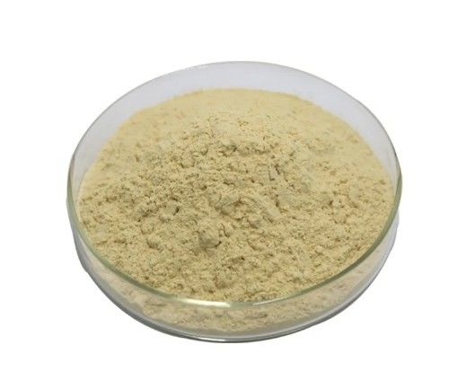 Manufacture Supply High Quality Galangin Powder 98% Galangin CAS NO.548-83-4
