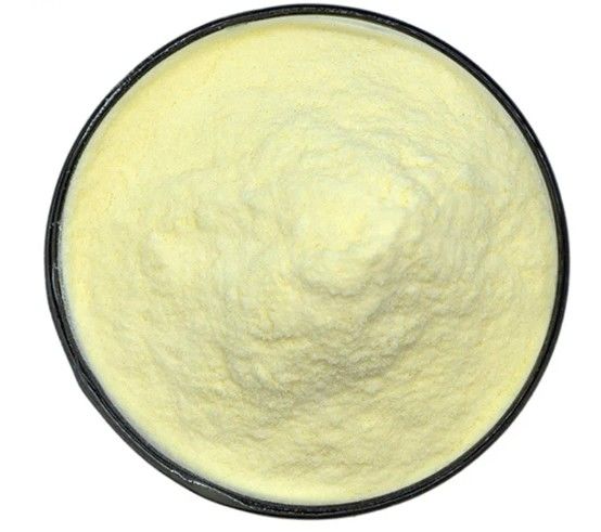 Manufacture Supply High Quality Galangin Powder 98% Galangin CAS NO.548-83-4