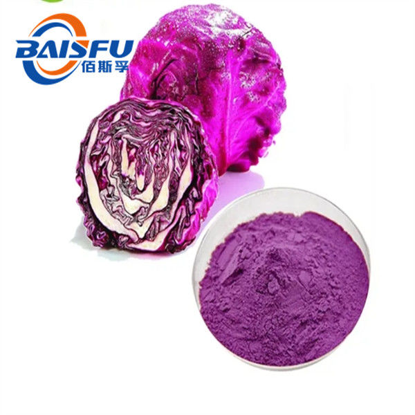 100% Natural Red Cabbage Powder for Cold Temperature Storage CAS No. 90045-23-1