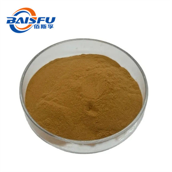 Maitake Mushroom Extract Of The Most Standard Grade In Powdered Form For Use In The Pharmaceutical Field