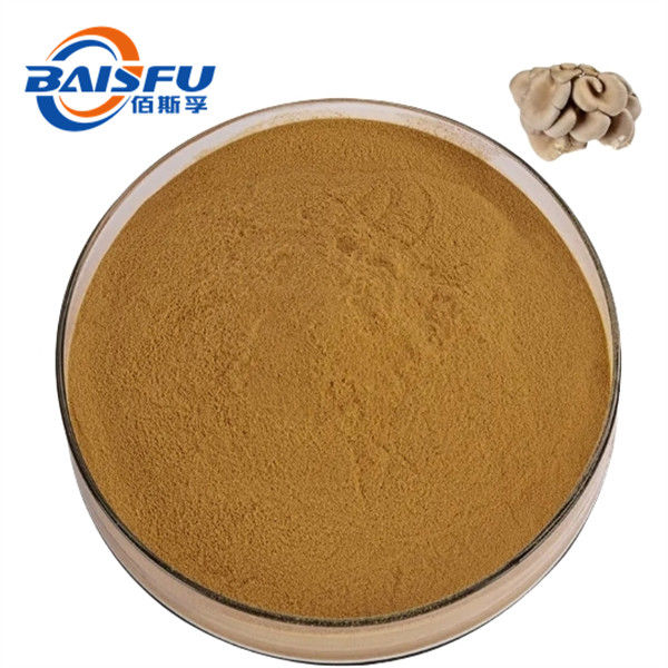 Maitake Mushroom Extract Of The Most Standard Grade In Powdered Form For Use In The Pharmaceutical Field