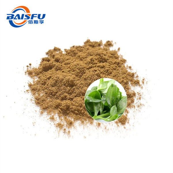 Highly Concentrated Andrographolide Extract For Pharmaceutical Field