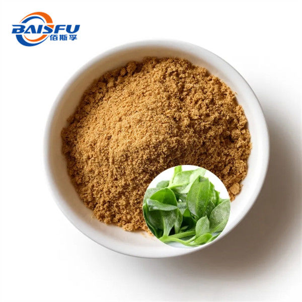 Highly Concentrated Andrographolide Extract For Pharmaceutical Field