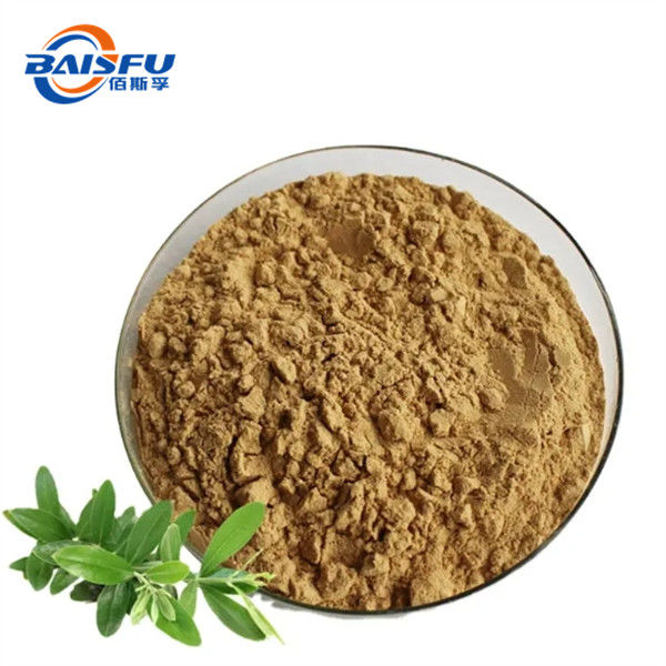 Olive Leaf P.E. Powdered Form To Prevent Colds And Improve Autoimmune Diseases