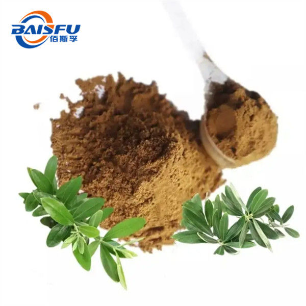 Olive Leaf P.E. Powdered Form To Prevent Colds And Improve Autoimmune Diseases