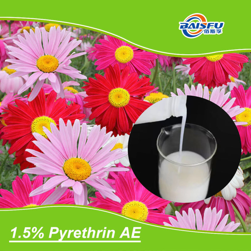 Pure Natural Insectic Pyrethrum Extract Organic Liquid Pyrethrins CAS 8003-34-7 Pet Shampoo Toilet Water Shampoo