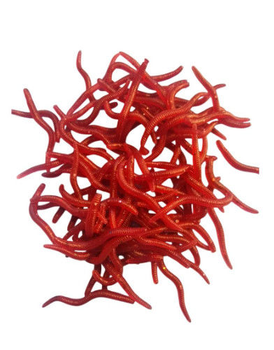 Hot Concentratest Red Worm Flavor Cat Dog Food Flavors And Spices Condiment