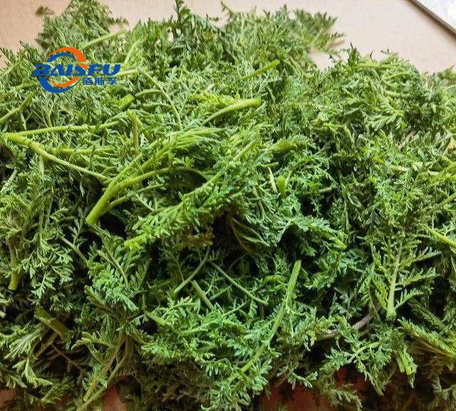 Baisfu Pure Natural pale yellow liquid Caraway Oil CAS 8000-42-8 steam distillation method processing for food flavor and nutritious supplementary