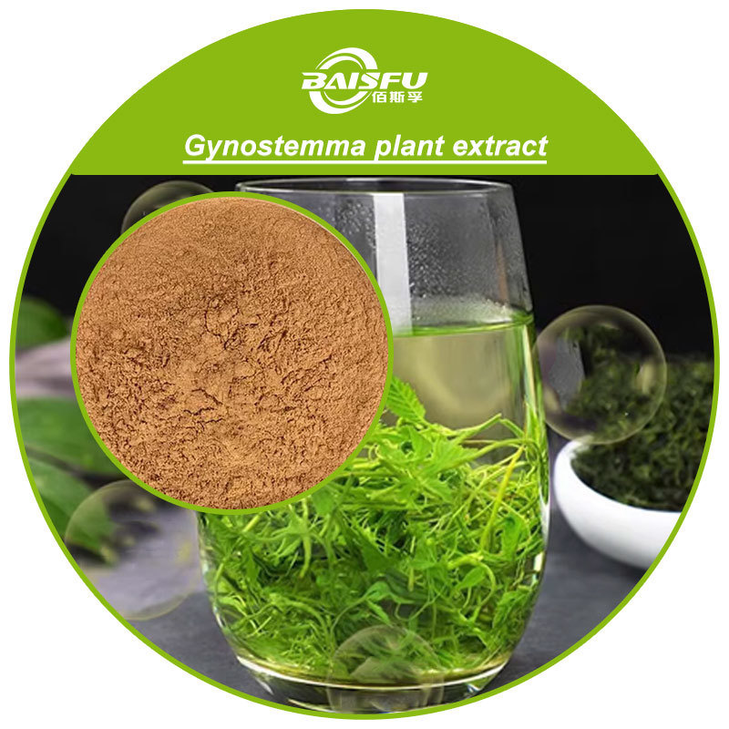 Gynostemma Pentaphyllum Plant Extract CAS 15588-68-8 Natural Herbal Supplement for Dietary and Cosmetic Formulations